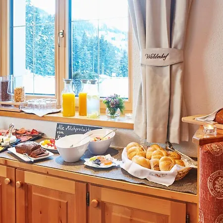 瓦尔德霍夫酒店 酒店 厄茨