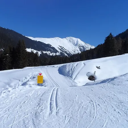 酒店 瓦尔德霍夫酒店 厄茨