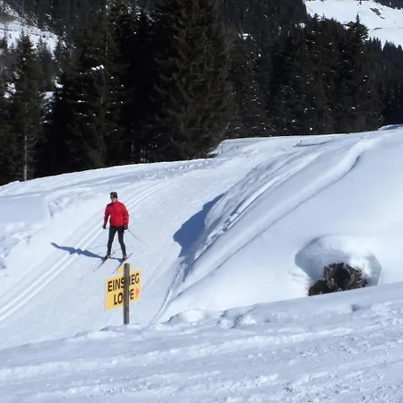 酒店 瓦尔德霍夫酒店