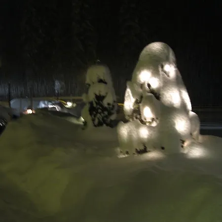 酒店 瓦尔德霍夫酒店 厄茨